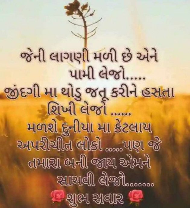 Gujarati Motivational by Bhumika Vyas : 111444016