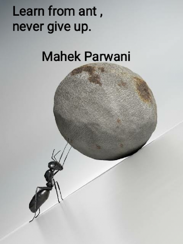 English Thought by Mahek Parwani : 111444385