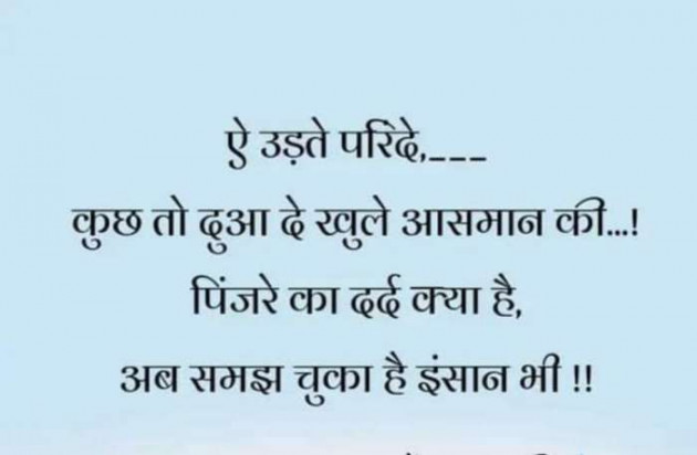 Gujarati Good Evening by Sonawala : 111444581