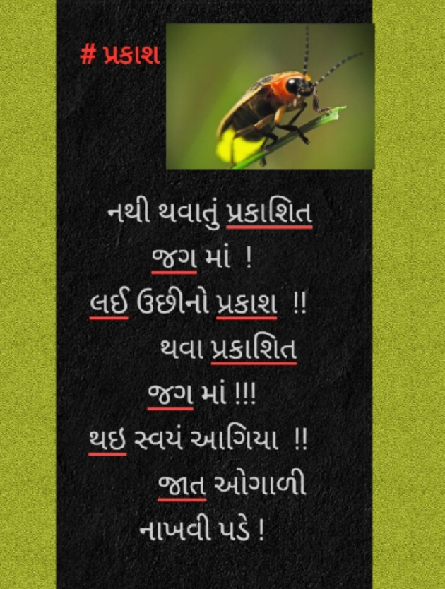 Gujarati Whatsapp-Status by Aarti Joshi : 111445382