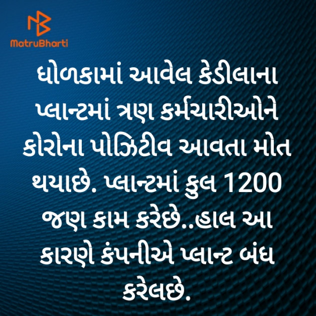 Gujarati News by Harshad Patel : 111445873