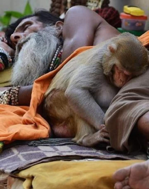 Hindi Blog by संजय कुमार दवे : 111445924