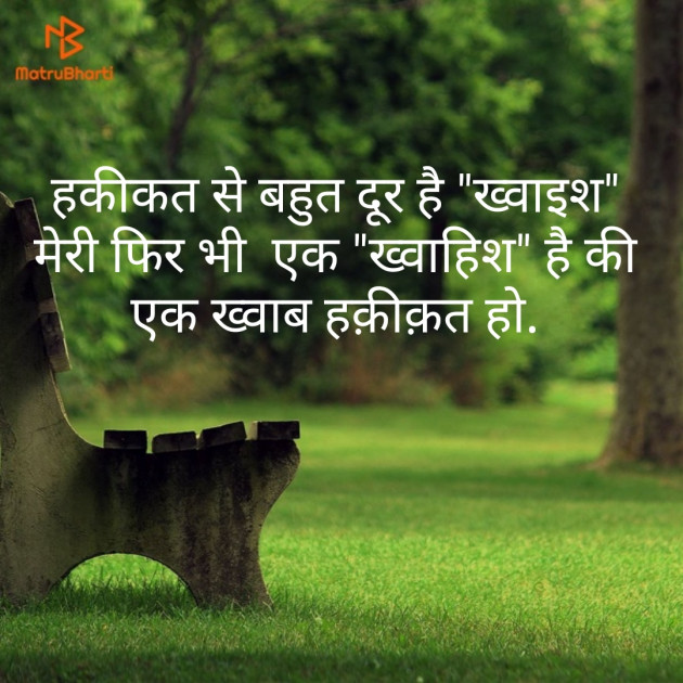 Hindi Blog by Heena_Pathan : 111446497