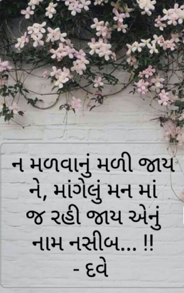 Gujarati Thought by Eva Dave : 111446946