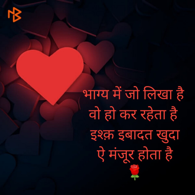 Hindi Blog by vaishu soni : 111447215