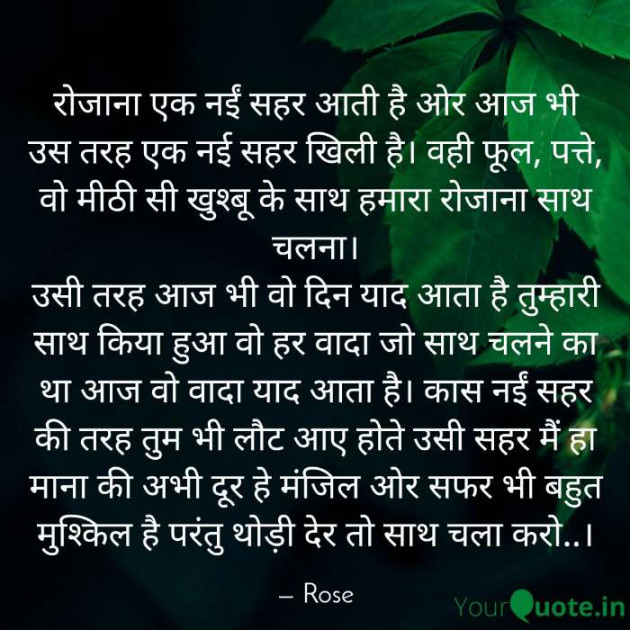 English Shayri by Rose : 111447315