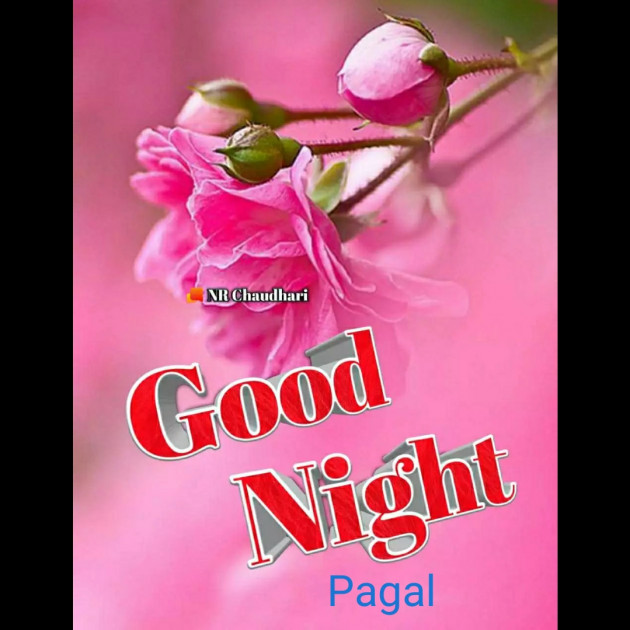 Gujarati Good Night by Manoj Leuva : 111447431