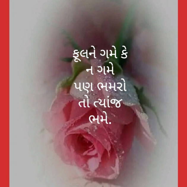 Gujarati Shayri by Asha : 111447497