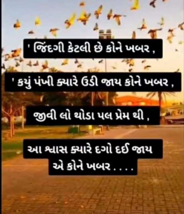 Gujarati Good Evening by Harshad Patel : 111448492