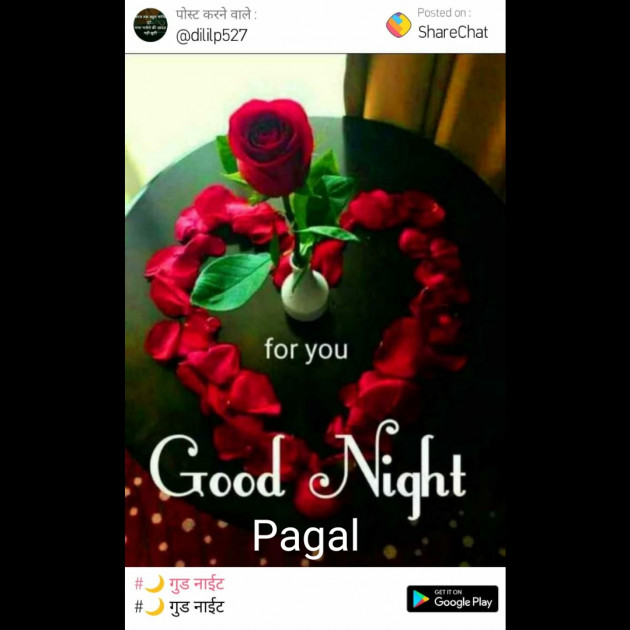 Gujarati Good Night by Manoj Leuva : 111448750