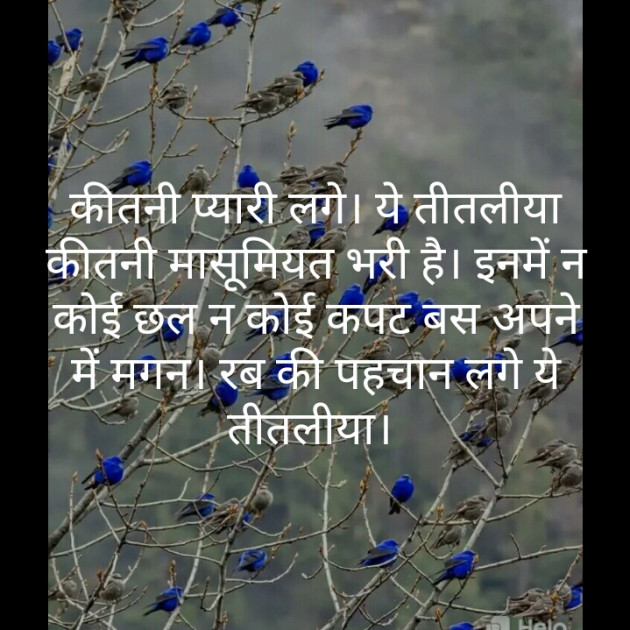 Hindi Whatsapp-Status by નવસર્જન : 111449488