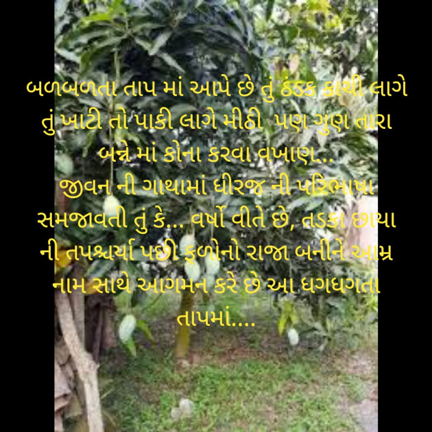 Gujarati Poem by Shree...Ripal Vyas : 111449957