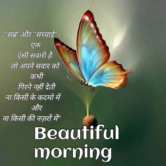 Gujarati Quotes by Sunil N Shah : 111450444