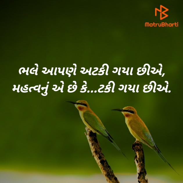 Gujarati Motivational by Nirmit Thakkar : 111451315