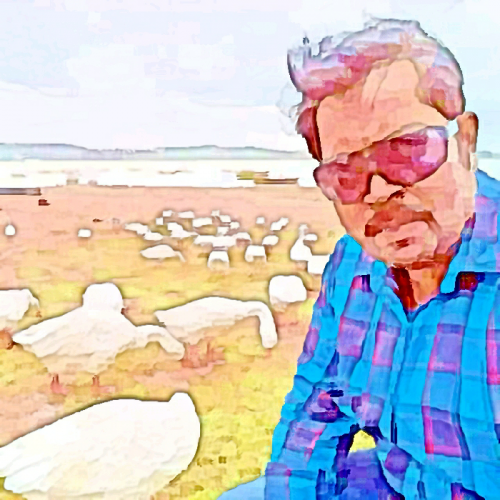 Post by IRFAN on 28-May-2020 05:46am