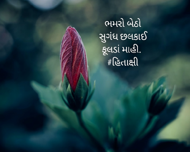 Gujarati Hiku by Hitaxi Vaghela : 111452147