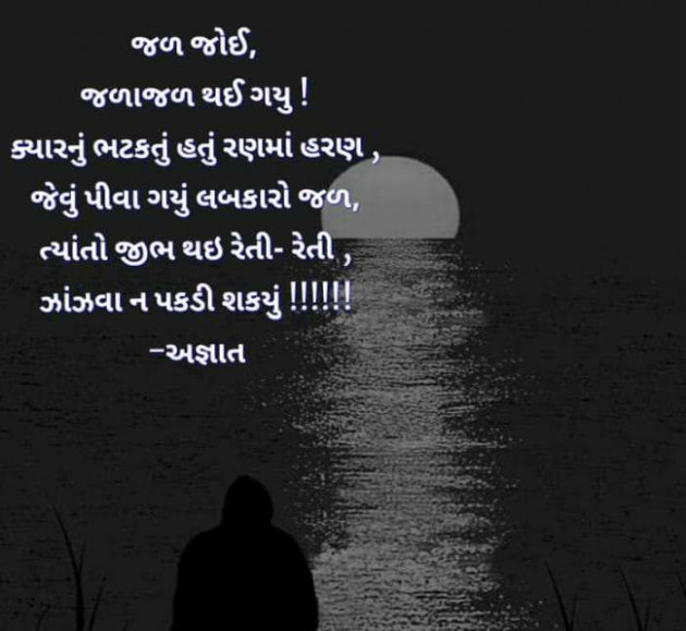 Gujarati Hiku by Vira : 111452159