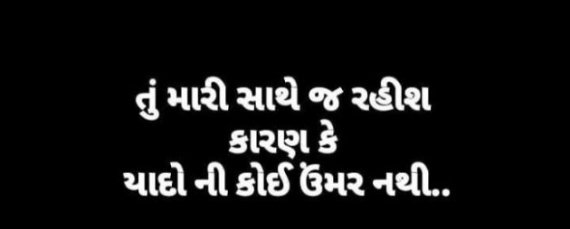 Gujarati Shayri by Sangita Behal : 111452299