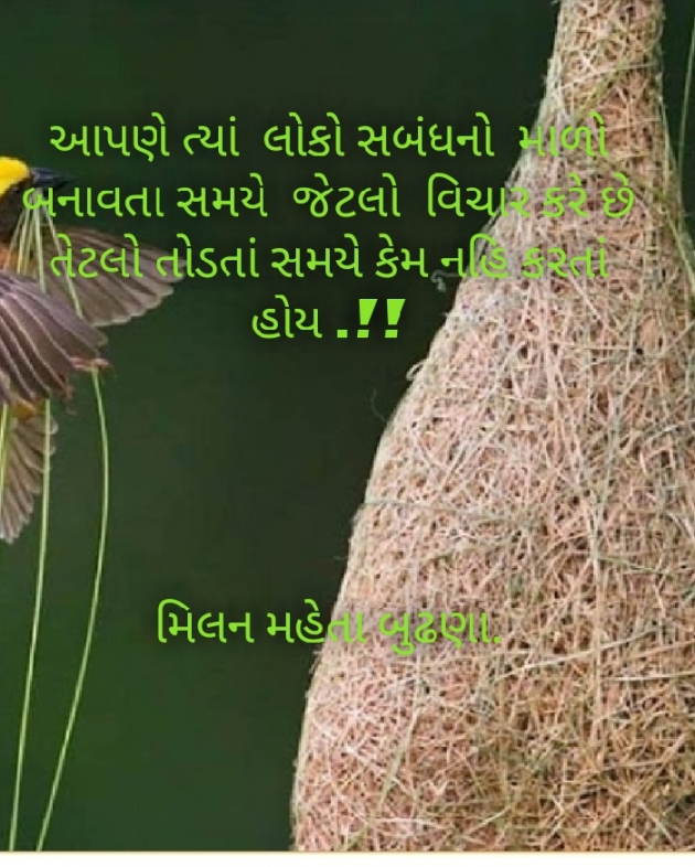 Gujarati Motivational by Milan Mehta : 111452659