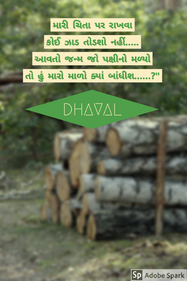 Gujarati Microfiction by Dhaval Bhanderi : 111452660