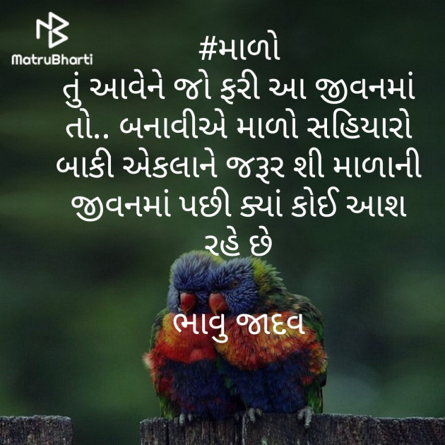 Gujarati Thought by Bhavna Jadav : 111452683