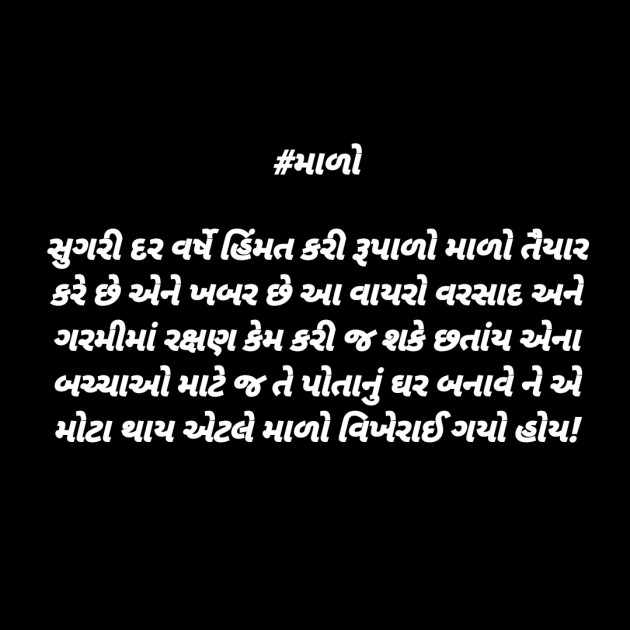 Gujarati Thought by Vijay Prajapati : 111452688