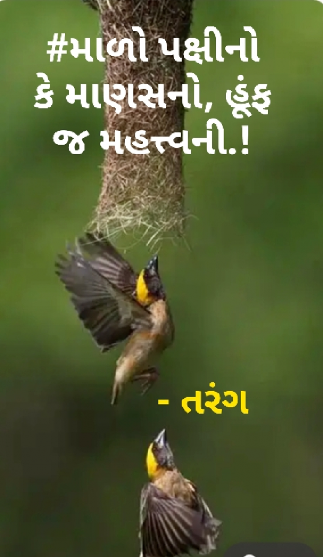 Gujarati Hiku by મૃગતૃષ્ણા - પારો : 111452778