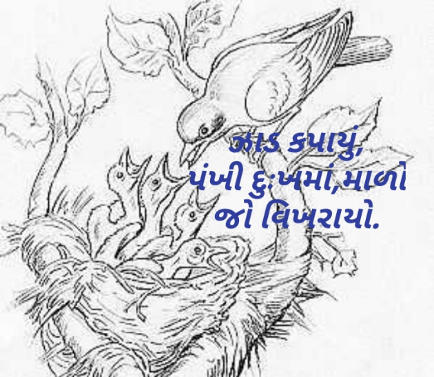 Gujarati Hiku by Parmar Mayur : 111452882