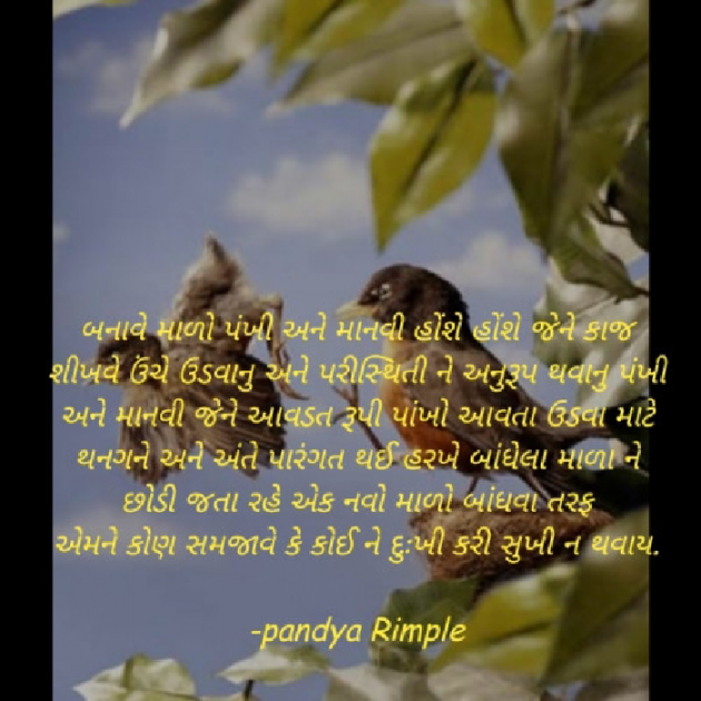 Hindi Whatsapp-Status by Pandya Rimple : 111452909