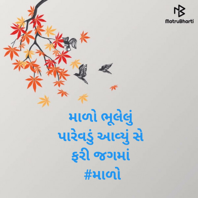 Gujarati Hiku by Dhruvit Patel : 111453161