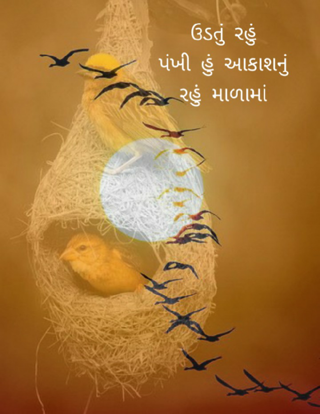 Gujarati Hiku by Firdos Bamji : 111453212