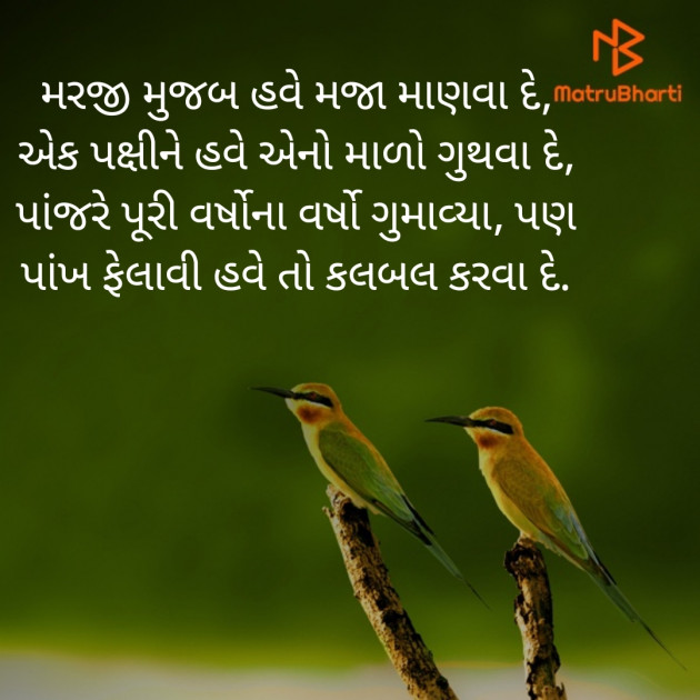 Gujarati Blog by 