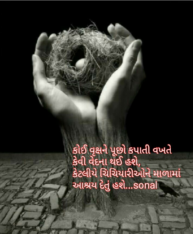 Gujarati Motivational by Sonalpatadia Soni : 111453346