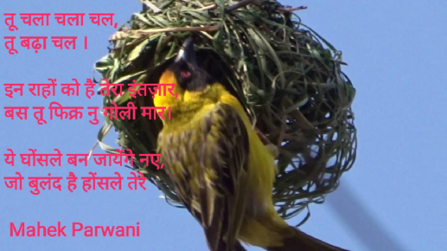 Hindi Poem by Mahek Parwani : 111453363