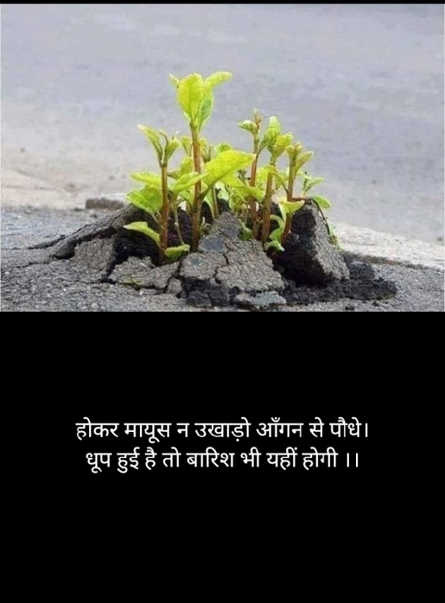 Hindi Thought by Deepak Singh : 111453436