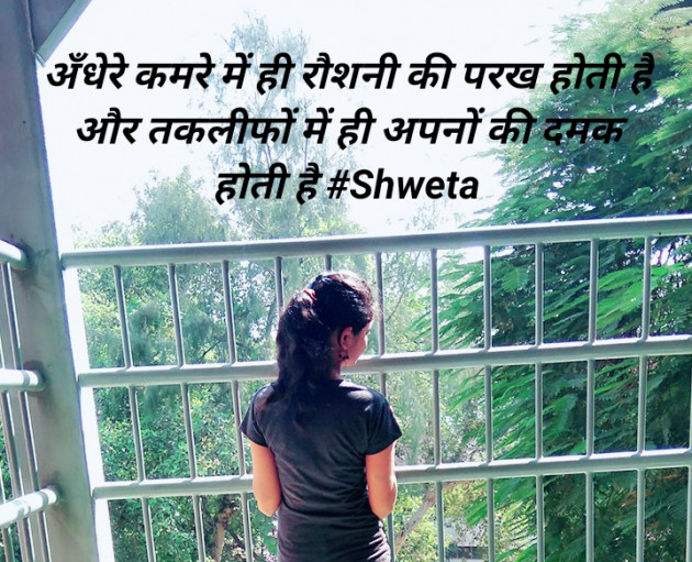 Hindi Blog by Shweta Singh : 111453458