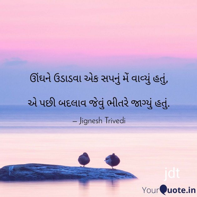 English Shayri by Jignesh Trivedi : 111454311