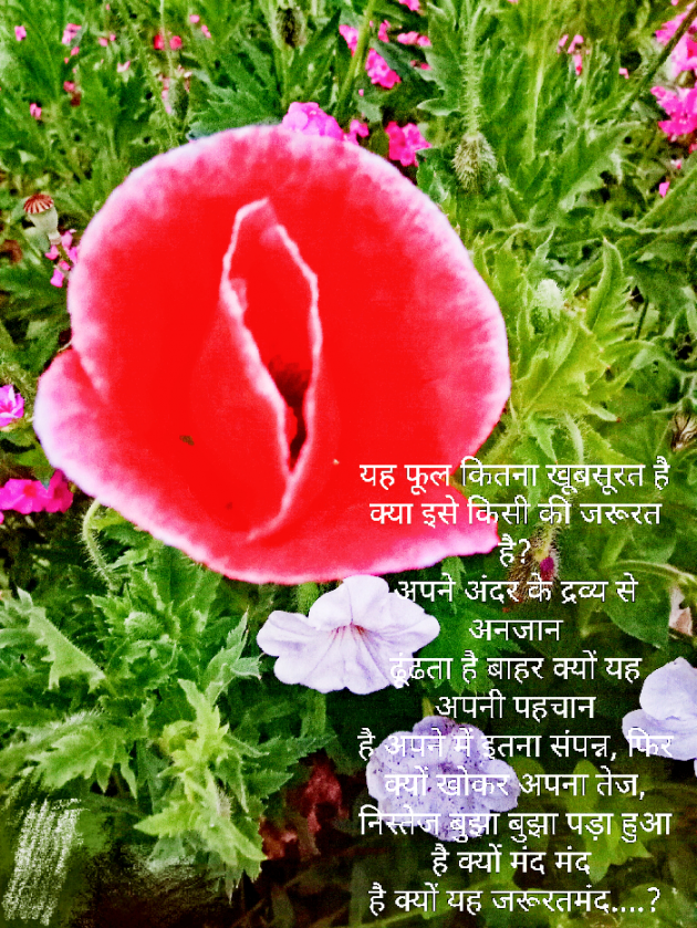 Hindi Poem by मिन्नी शर्मा : 111454421