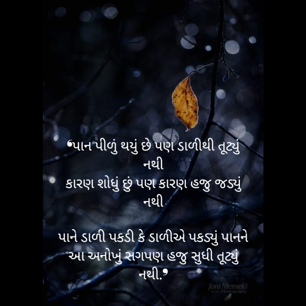 Gujarati Poem by Jatin Lad : 111455051