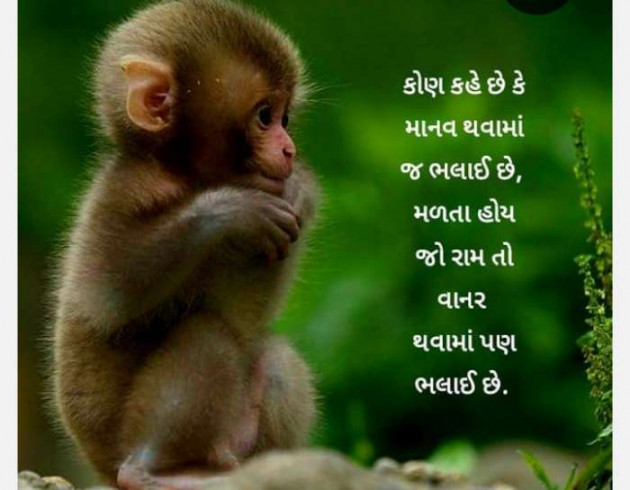 Gujarati Religious by RajniKant H.Joshi : 111455620