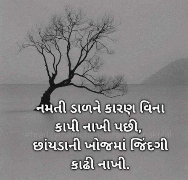 Gujarati Good Evening by Sonawala : 111456024