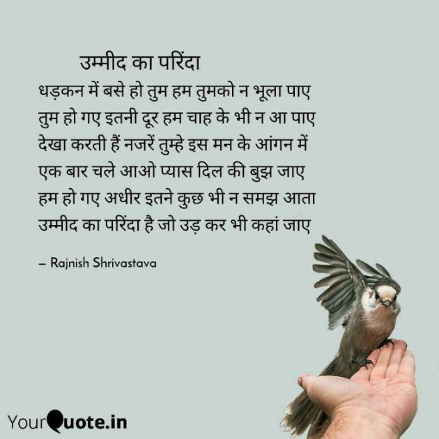 English Poem by Rajnish Shrivastava : 111457057