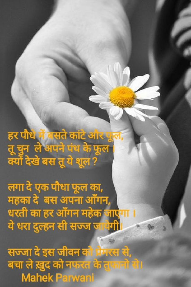 Hindi Poem by Mahek Parwani : 111459590