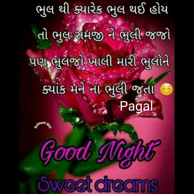 Gujarati Good Night by Manoj Leuva : 111460025