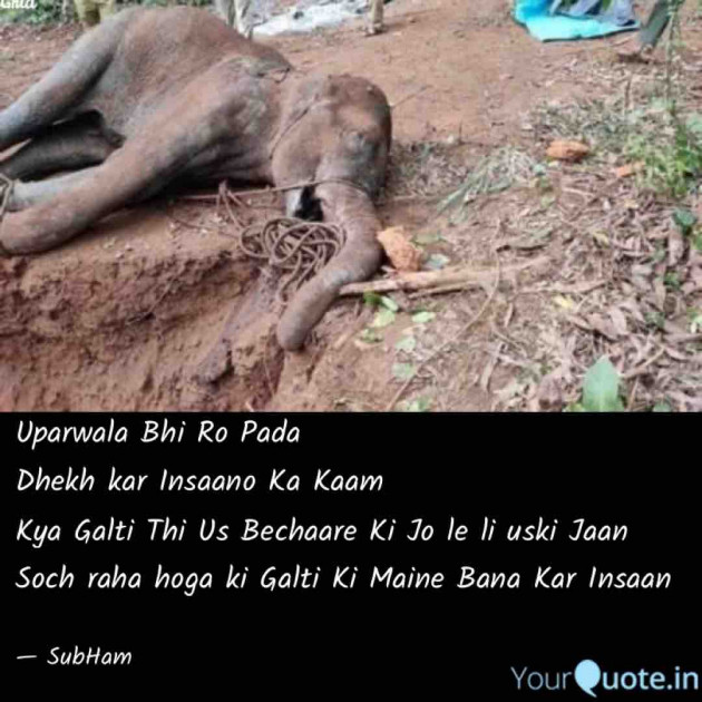 Hindi Thought by Subham Nayak : 111460143