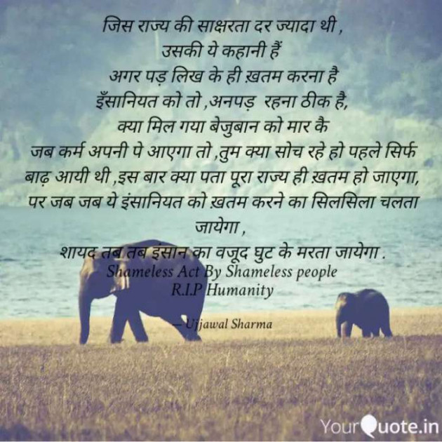 English Poem by Ujjawal Sharma : 111460499