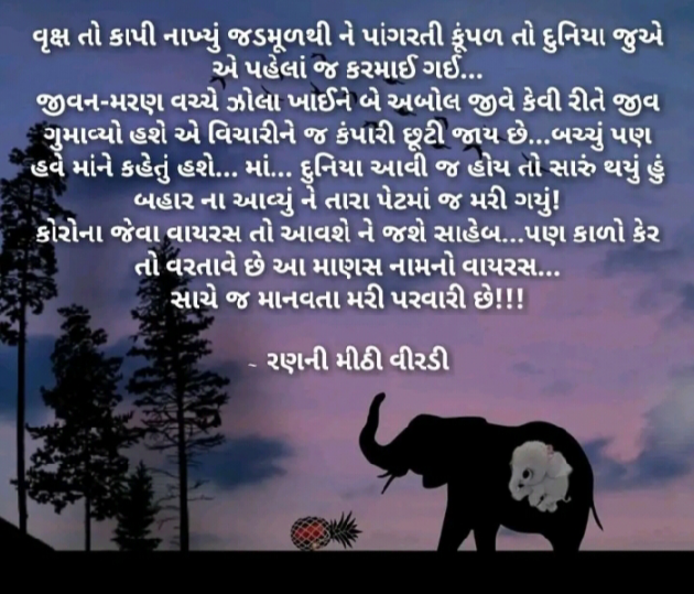 Gujarati News by Aarti : 111460669