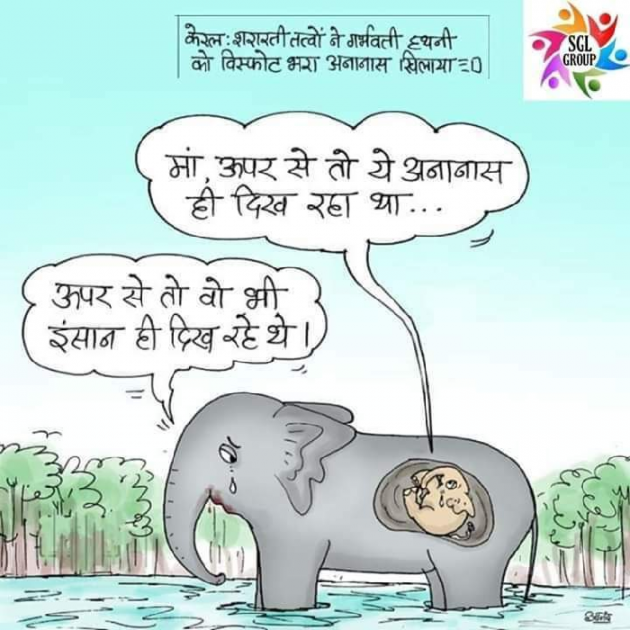 Hindi Shayri by Mohit K Bagriya : 111460799