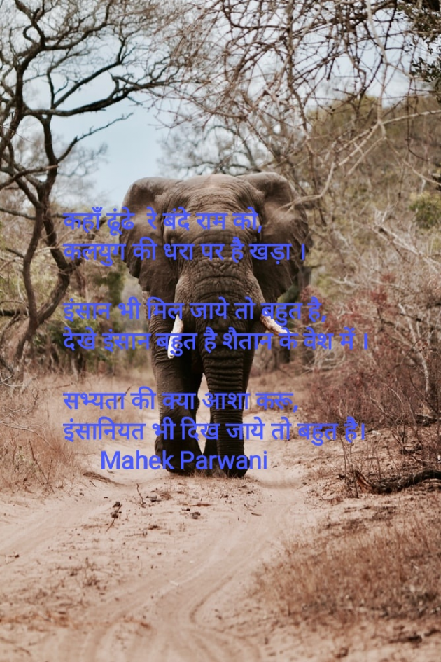 Hindi Poem by Mahek Parwani : 111461095