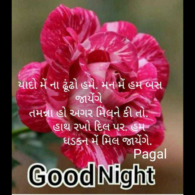 Gujarati Good Night by Manoj Leuva : 111461199